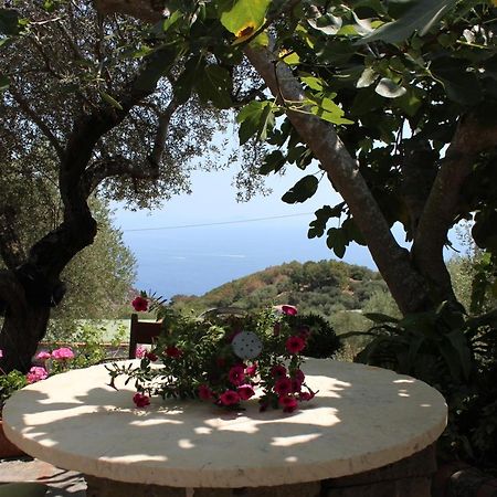 Casa Josella Villa Massa Lubrense Eksteriør billede
