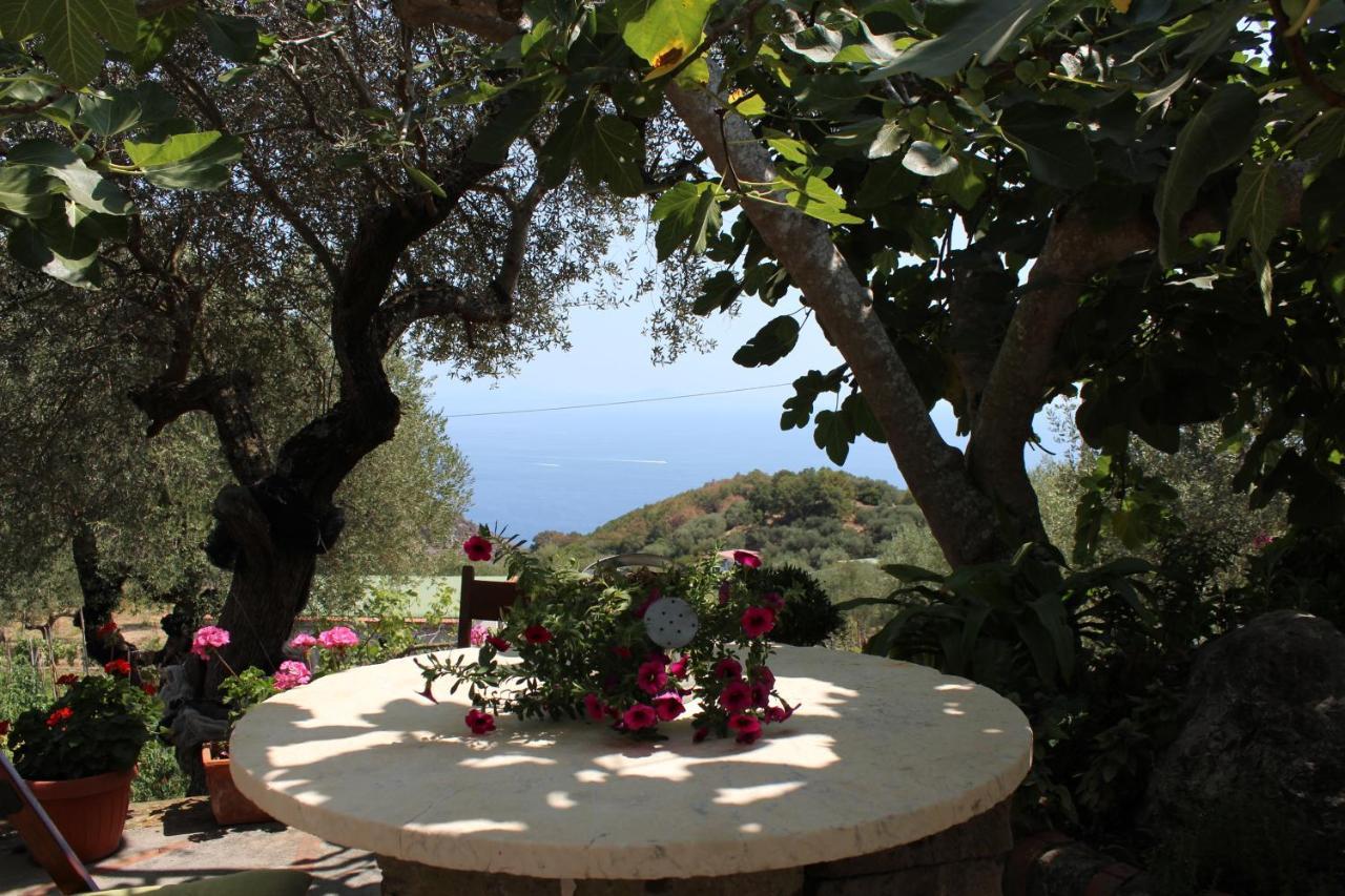 Casa Josella Villa Massa Lubrense Eksteriør billede