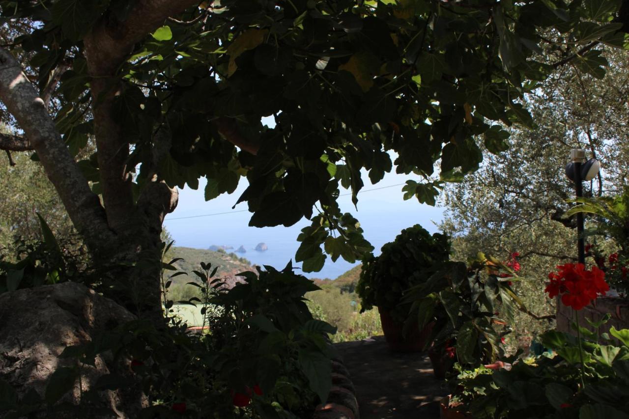Casa Josella Villa Massa Lubrense Eksteriør billede