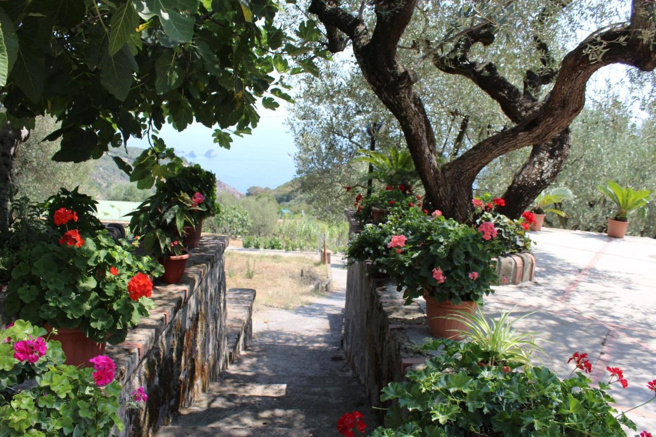 Casa Josella Villa Massa Lubrense Eksteriør billede