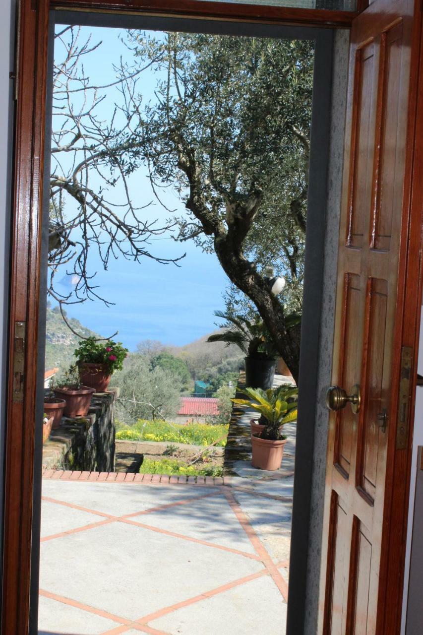 Casa Josella Villa Massa Lubrense Eksteriør billede