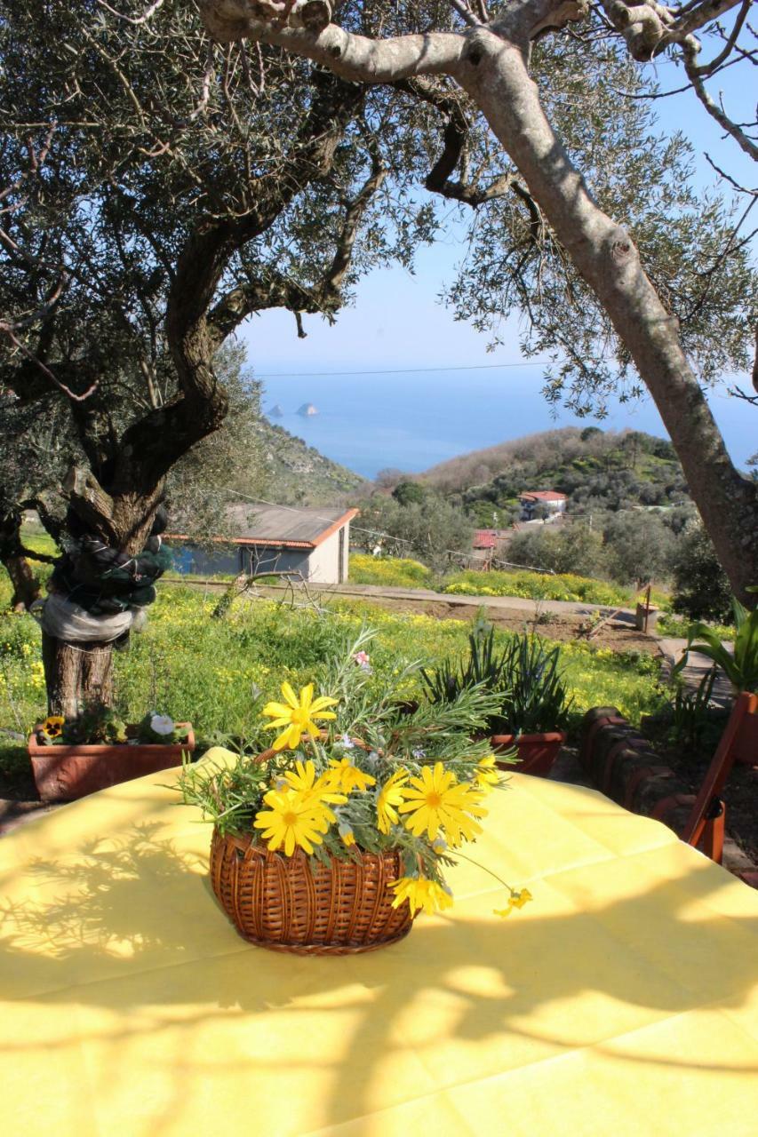 Casa Josella Villa Massa Lubrense Eksteriør billede