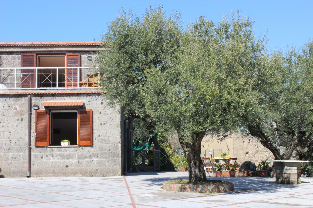 Casa Josella Villa Massa Lubrense Eksteriør billede