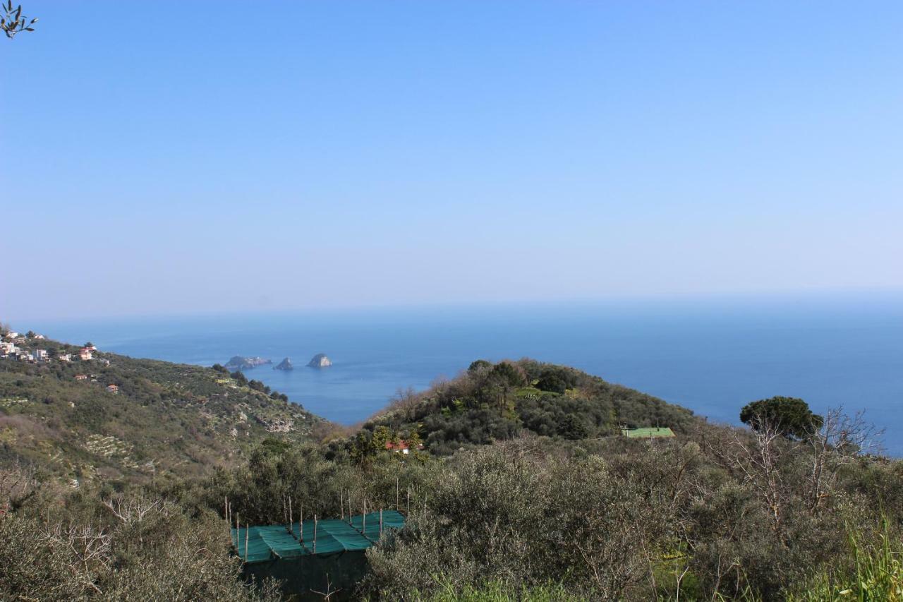 Casa Josella Villa Massa Lubrense Eksteriør billede