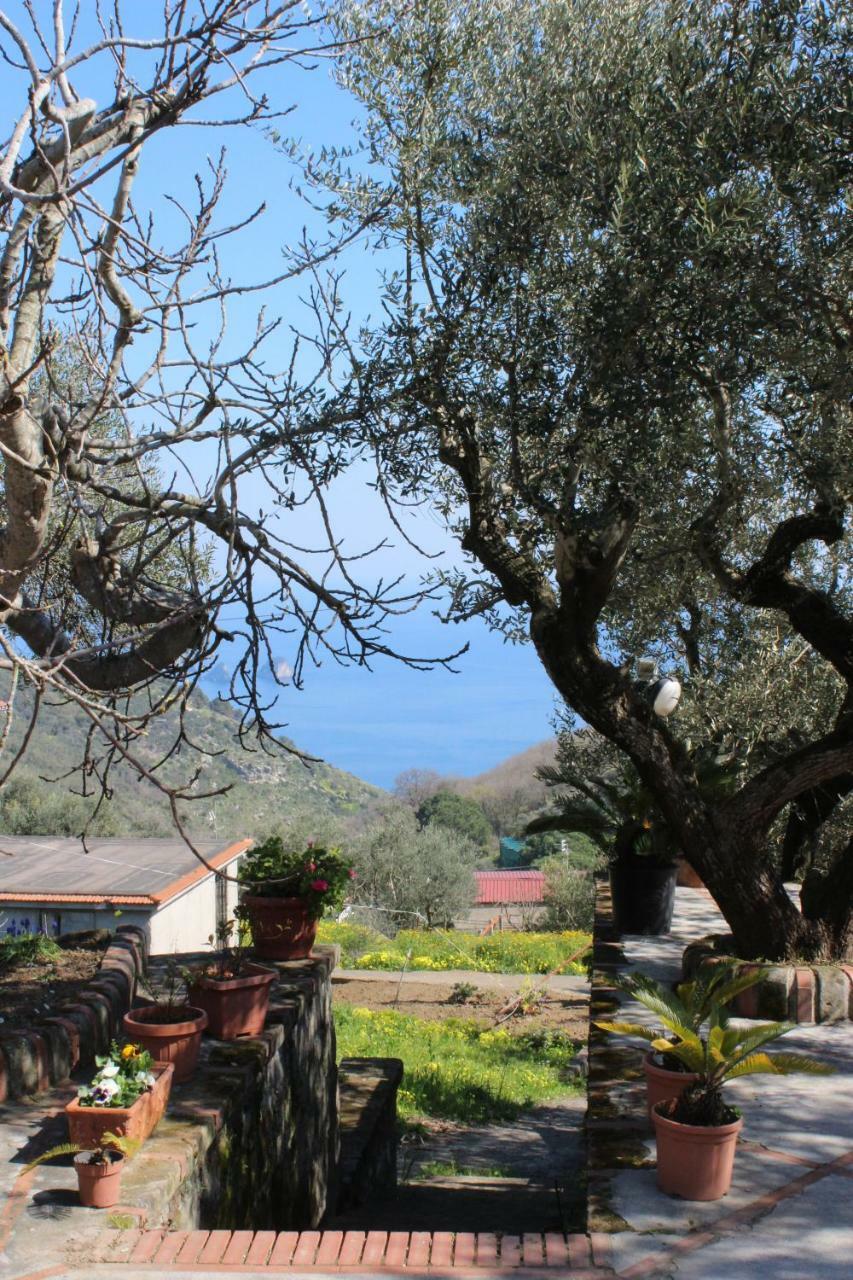 Casa Josella Villa Massa Lubrense Eksteriør billede
