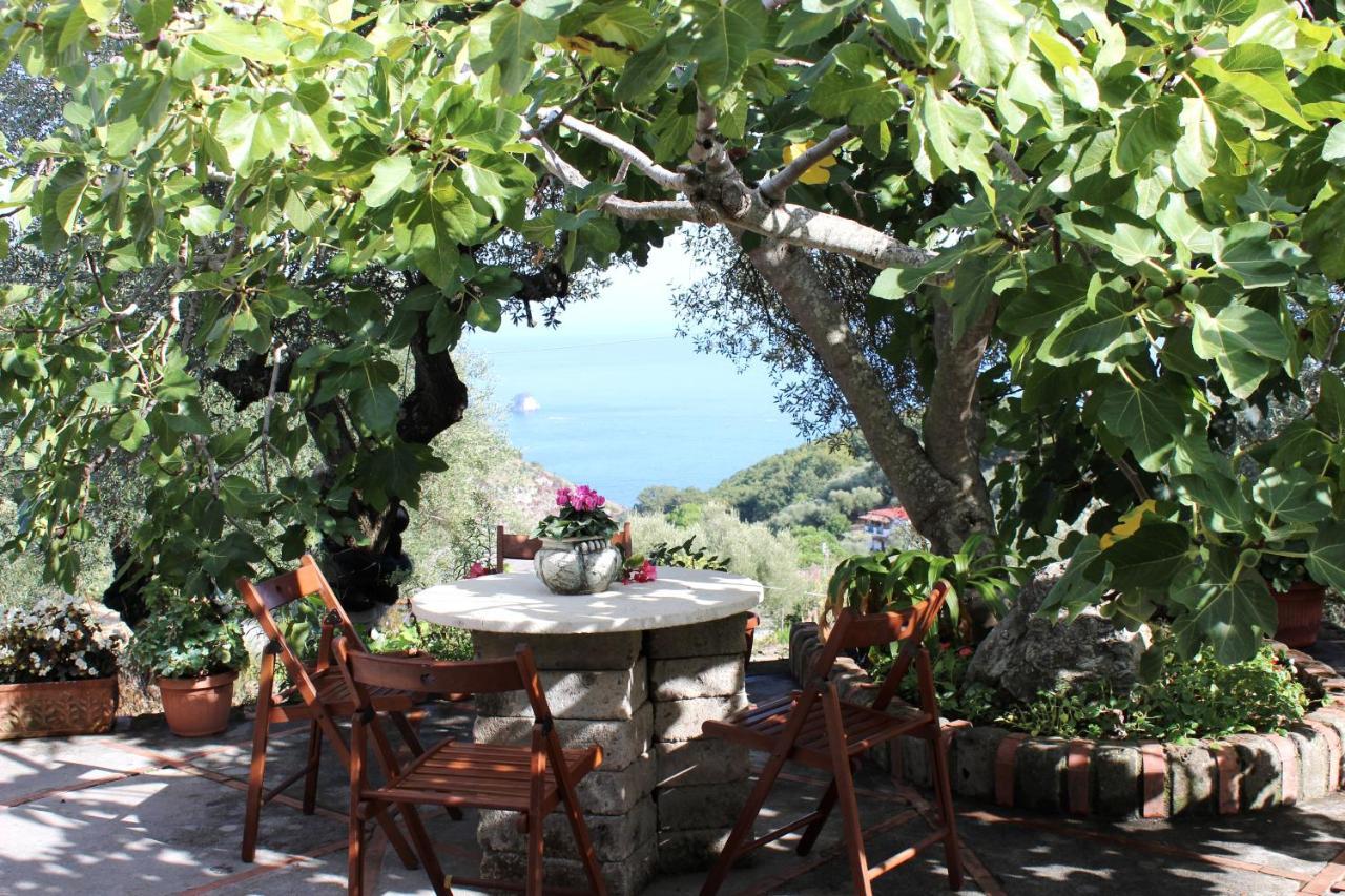Casa Josella Villa Massa Lubrense Eksteriør billede